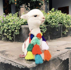 Meet your Posher, Jana